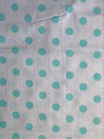 Dot Teal and white